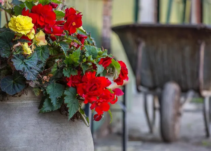 Lejlighed Mit Wintergarten Nah Moviepark *