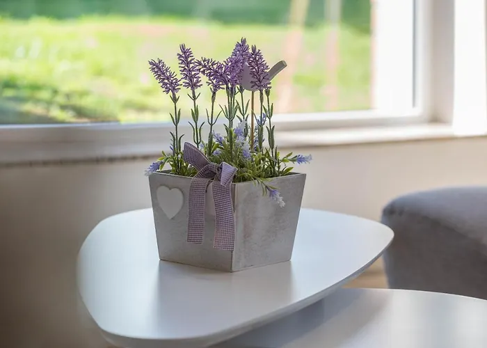 Mit Wintergarten Nah Moviepark Lejlighed Bottrop