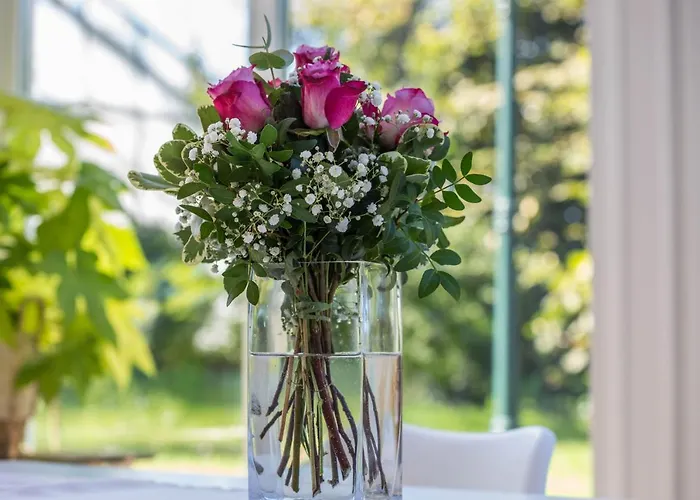 Lejlighed Mit Wintergarten Nah Moviepark *